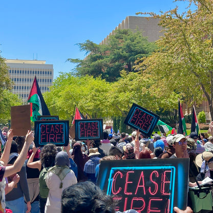 CEASE FIRE LAWN SIGN